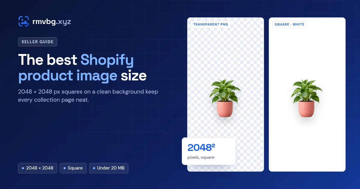Poster: a potted plant cut out on a transparent grid and on a white square